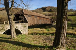 20101105_jagsttal_247