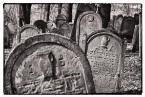 20110308_schoental_113-bearb-bw