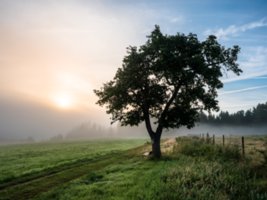 20160816_rabensteine_003-HDR