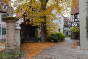 20231103_bad_wimpfen_099-Verbessert-RR_edit