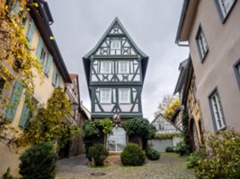 20231103_bad_wimpfen_175-HDR